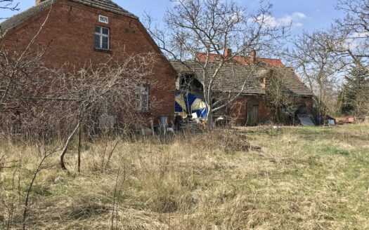 Krzyszkowo – duża działka inwestycyjna – 1 ha