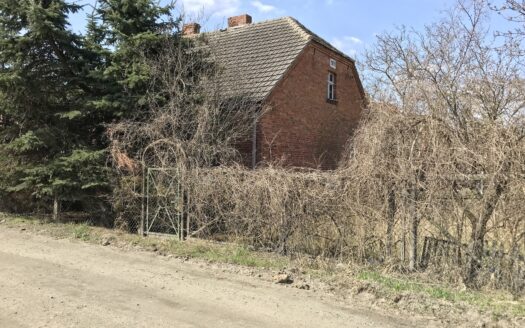 Krzyszkowo – duża działka inwestycyjna – 1 ha