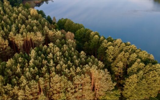 Działki z dostępem do jeziora – Mężyk gm. Wieleń