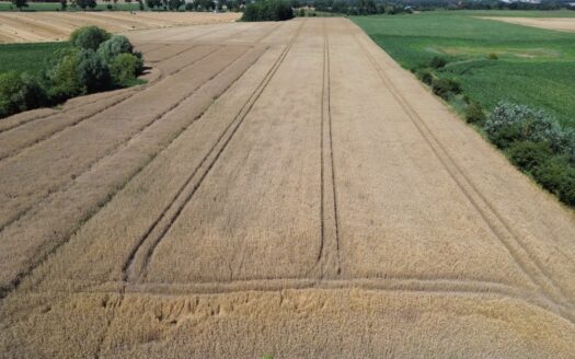 Grunt rolny w Gminie Rokietnica – Kobylniki