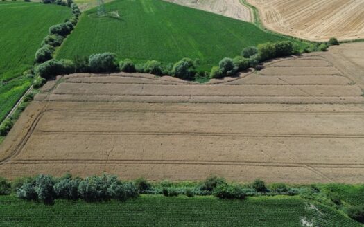 Grunt rolny w Gminie Rokietnica – Kobylniki