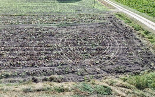 Grzebienisko – Działka 940m2 – Szeroki front