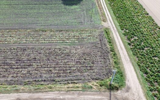 Grzebienisko – Działka 940m2 – Szeroki front