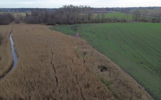 Rokietnica/Napachanie – działka rolna 1,0424ha