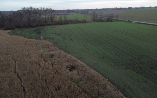 Rokietnica/Napachanie – działka rolna 1,0424ha